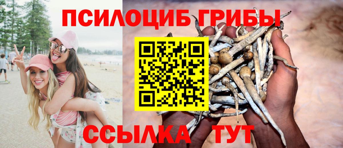 Псилоцибиновые грибы Psilocybine cubensis  Псилоцибиновые грибы MAGIC MUSHROOMS  Вход с VPN  Волгодонск 
